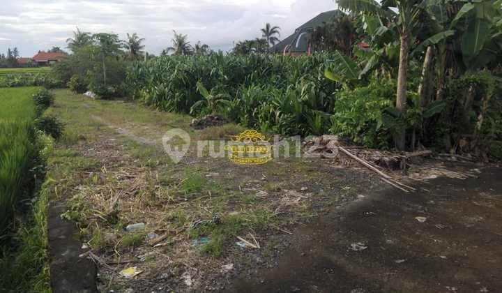 Tanah Jual Lokasi Pantai Nyanyi