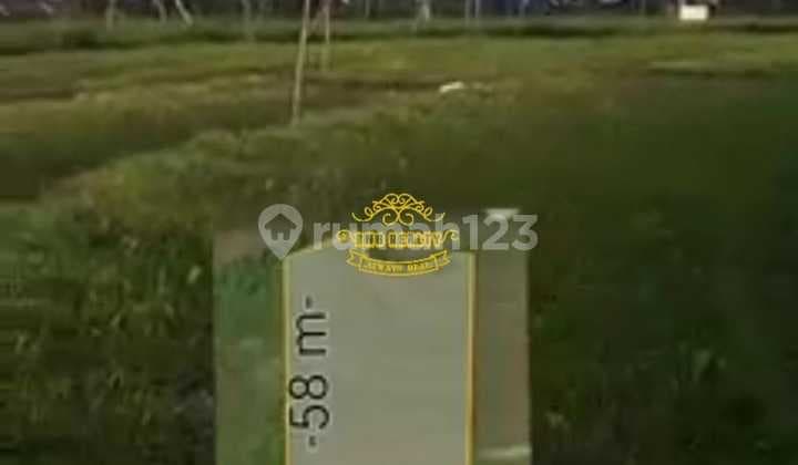 Land for Sale in Tandeg Location