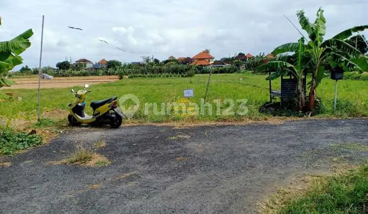 Tanah Jual Lokasi Sanur