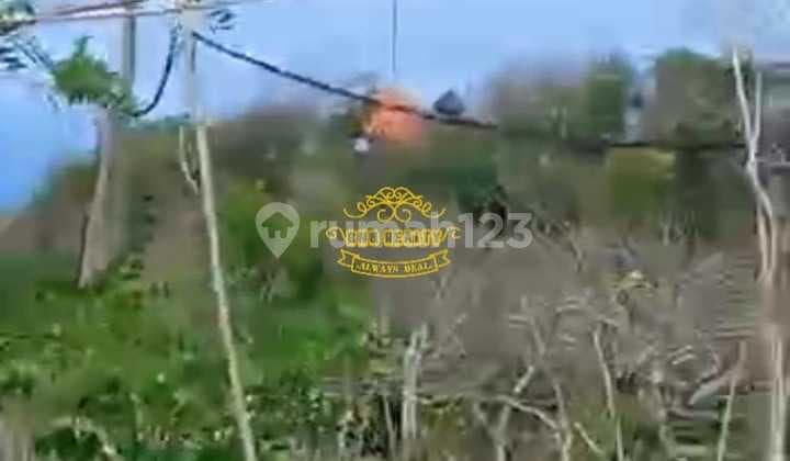 Land for Sale in Pecatu Location