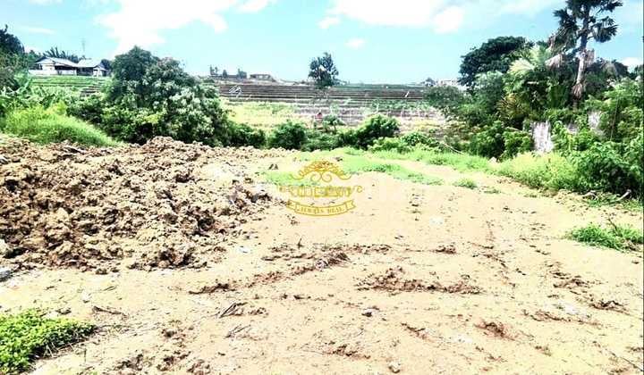 Land for Sale in Pererenan Location