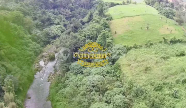 Land for Sale in Silungan Location