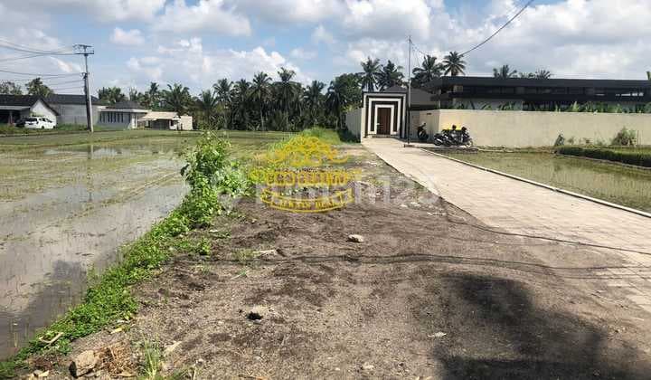 Tanah Jual Lokasi Pejeng