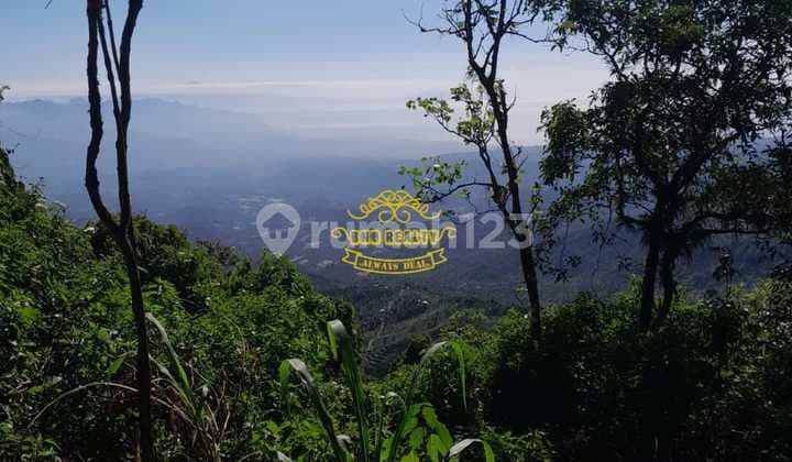 Tanah Jual Lokasi Pancasari