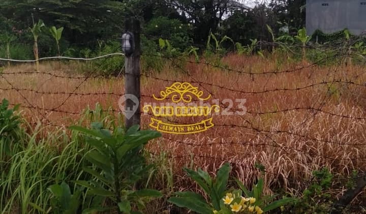 Tanah Jual Lokasi Sedap Malan