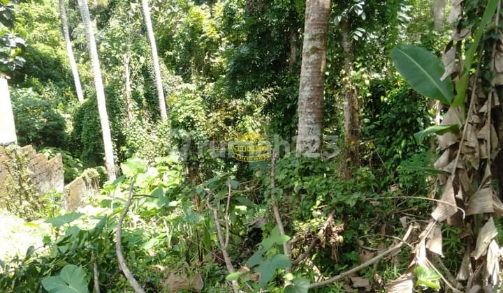 Tanah Jual Lokasi Petulu