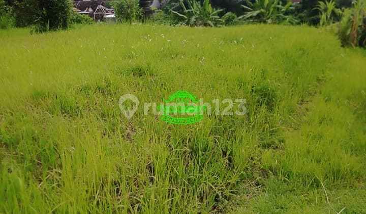 Tanah Jual Lokasi Sading