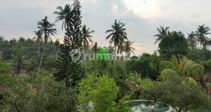 Villa Jual Lokasi Singapadu