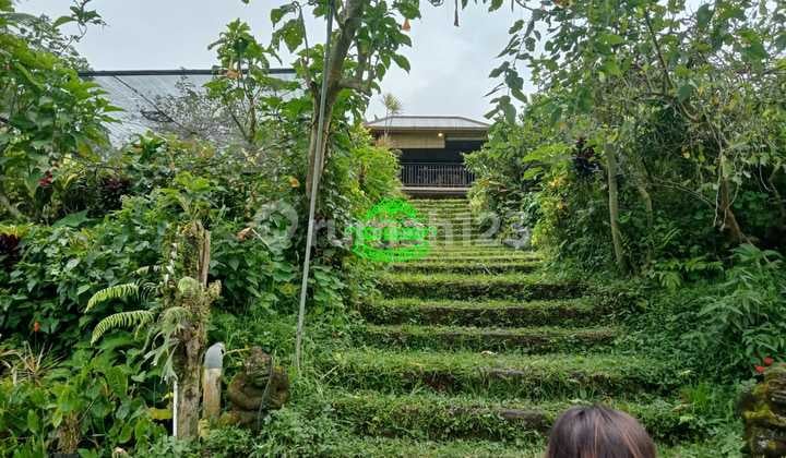 Tanah Jual Lokasi Antapan