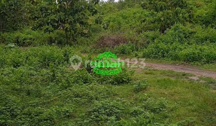 Land for Sale in Ungasan Location