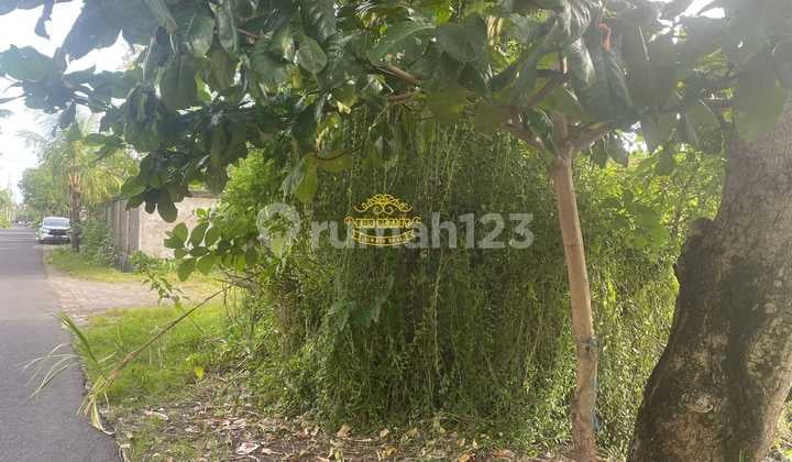 Land for Sale Location Sunset Road