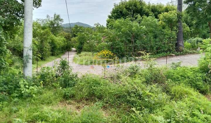 Tanah Jual Lokasi Sumberkima