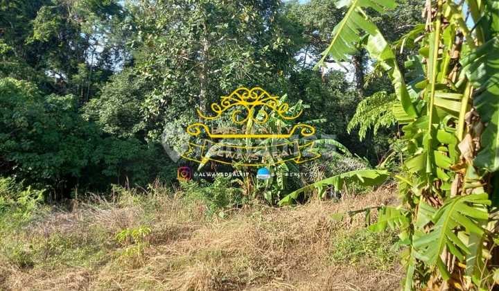 Land for Sale Location Tiying Tutul