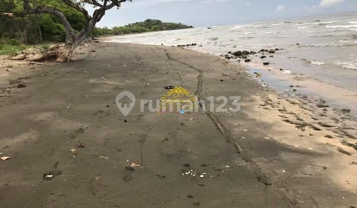 Tanah Jual Lokasi Pemuteran