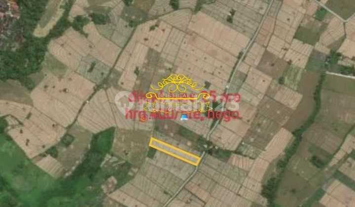 Tanah Jual Lokasi Pantai Nyanyi