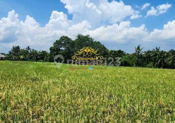 Land for Sale, Nyambu Location