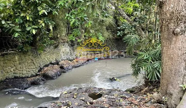 Tanah Jual Lokasi Pererenan Tanah Jual Lokasi Pererenan