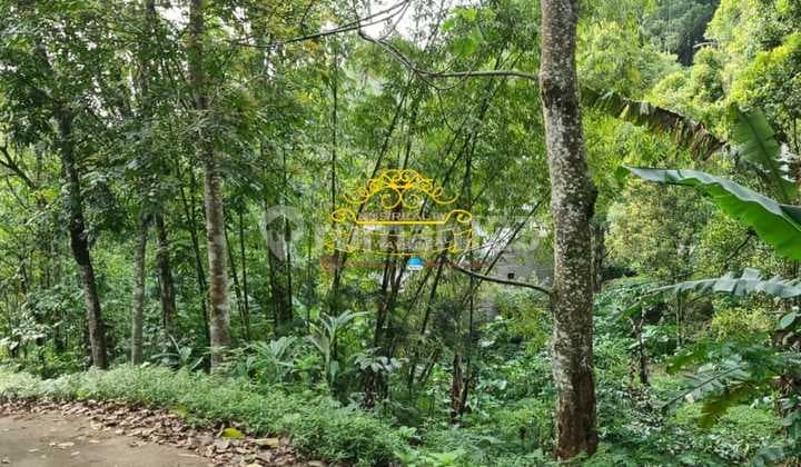 Tanah Jual Lokasi Munduk