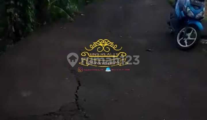 Tanah Jual Lokasi Cemagi