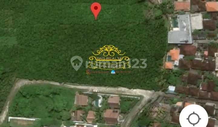 Tanah Sewa Lokasi Pererenan
