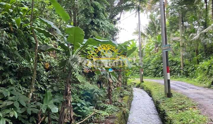 Tanah Jual Lokasi Peliatan