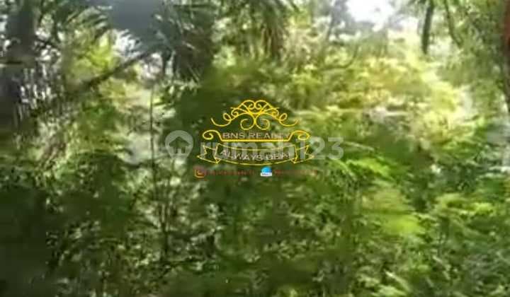 Tanah Jual Lokasi Tegallalang