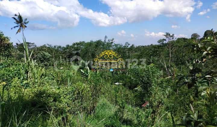 Tanah Jual Lokasi Tampak Siring