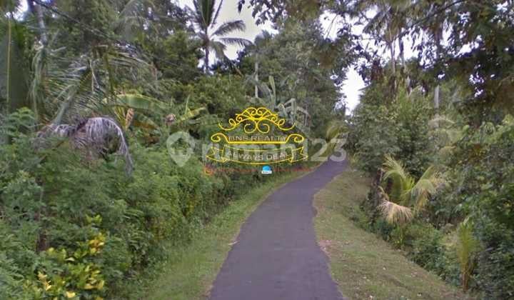 Land for Sale Location in Tukadaya