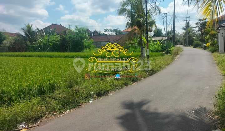 Tanah Jual Lokasi Peliatan