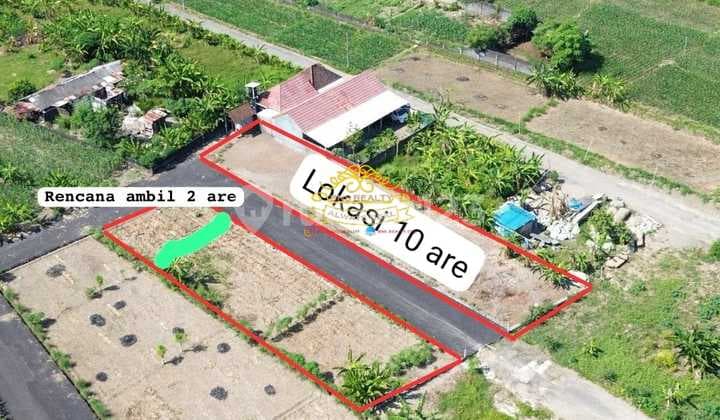 Tanah Jual Lokasi Padang Galak