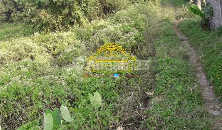 Land for Sale Location Umalas