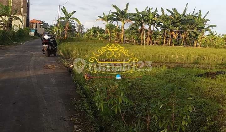 Tanah Jual Lokasi Padang Galak