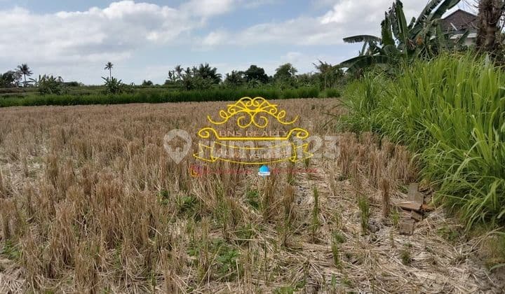 Tanah Jual Lokasi Pering