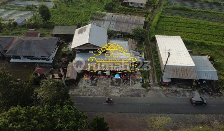 Land for Sale Location Munduk