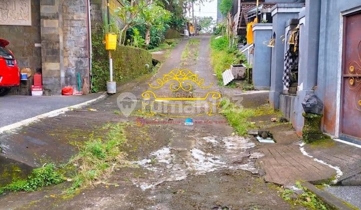 Tanah Jual Lokasi Tegallalang