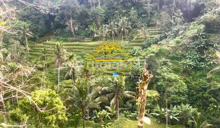 Tanah Jual Lokasi Sebatu