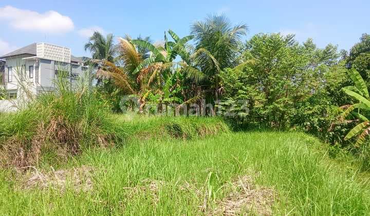 Tanah Jual Lokasi Mas