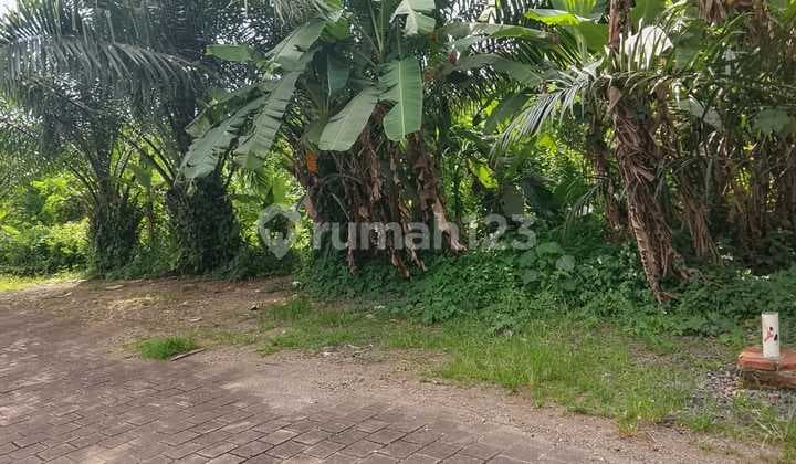 Tanah Jual Lokasi Munggu