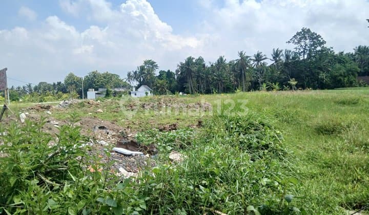 Tanah Jual Lokasi Peliatan