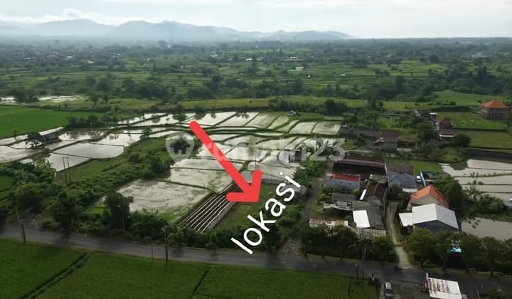 Sell Land Located in Tulikup