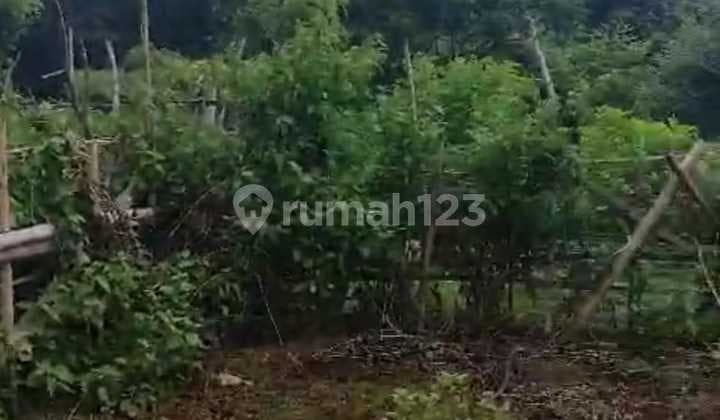 EN: Land for Sale in Pecatu
