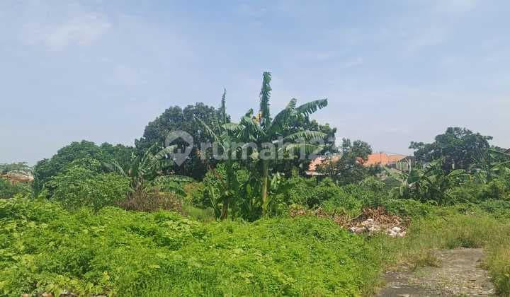 Tanah Jual Lokasi Kerobokan