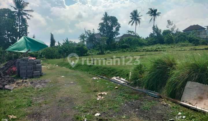 Land for Sale Location Kemenuh