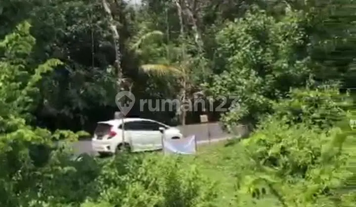 Land for Sale, Antiga Location