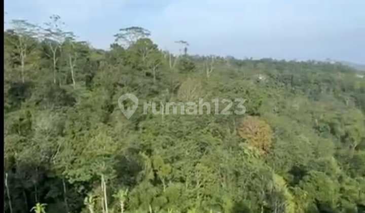 Tanah Jual Lokasi Wanagiri