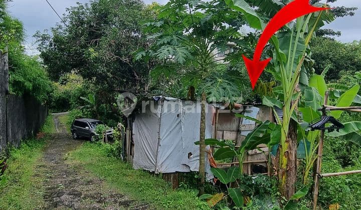 Land for Sale in Puri Gading Location