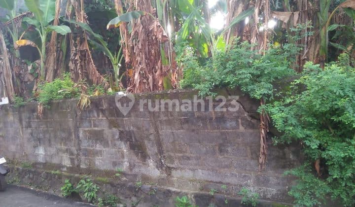 Tanah Jual Lokasi Kesiman