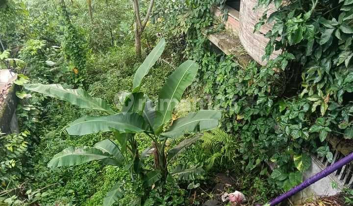 Tanah Jual Lokasi Ubud