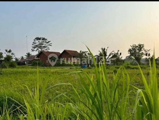 Land Sale Location at Sanding