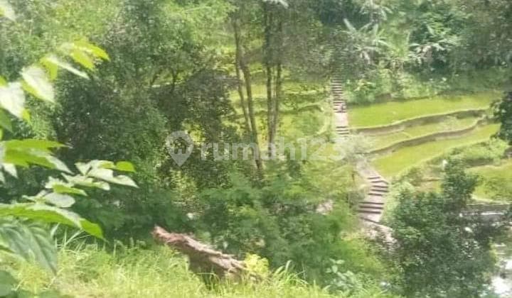 Land For Sale - Taro Location